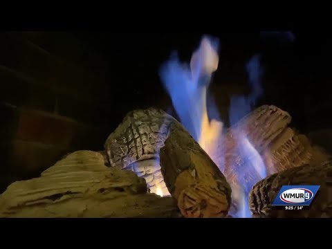 Grow it Green: Choosing the best trees for firewood