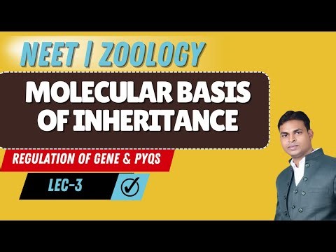 NEET I ZOOLOGY I MOLECULAR BASIS OF INHERITANCE | TRANSLATION, REGULATION OF GENE & PYQs | LEC-03
