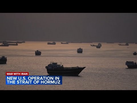 Project Freedom: Trump says US will 'guide' stranded ships from Strait of Hormuz