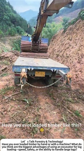 Loading Logs with an Excavator – Heavy Machinery at Work in the Forest! 🚜