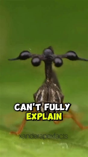 Real Animals That Look Like Aliens 🛸 #facts #animalfacts #wildlife