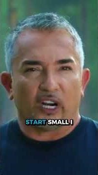 Is your dog aggressive or unsure?