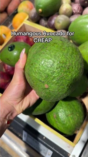 Just a bit confused about the plunger 😂 #relatable #travel #traveltiktok