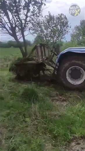 This Machine Saves Trees Instead of Cutting Them 🌳😲
