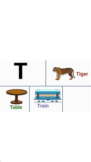 T for tiger