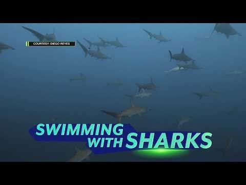 Amazing Earth: Pinoy traveler at underwater