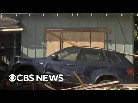 Hurricane Lowell threw "trees through the cars" in Hawaii, man says