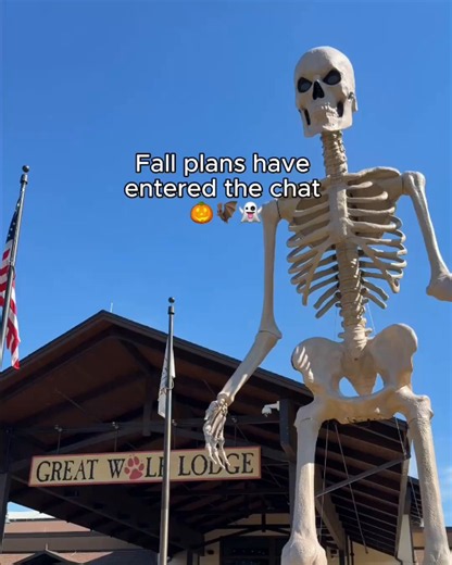The hardest part? Deciding what to do first. 🎃 Splash, trick-or-treat, dance, and do it all together during Howl-O-Ween at Great Wolf Lodge. #greatwolflodge