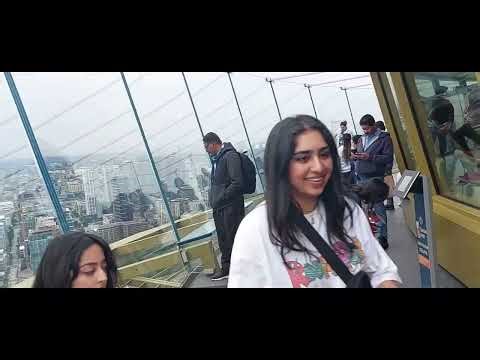 Seattle city view tower, Bainbridge Island visit