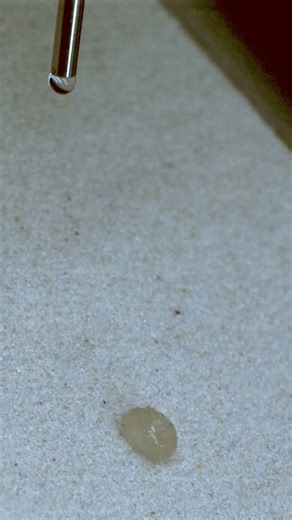 Watch these raindrops turn into rolling ‘sandballs’