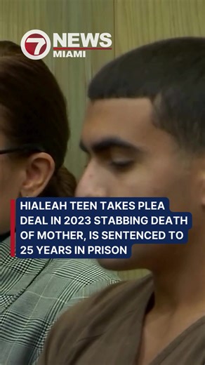 Derek Rosa has pleaded guilty to second-degree murder in the 2023 stabbing death of his mother. Rosa was 13 at the time of his arrest. A judge sentenced him to 25 years in prison, followed by 20 years of probation.