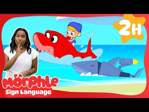Racing with Robot Sharks 🤖🦈 | Best of Morphle | Learn ASL & Baby Sign Language for Kids