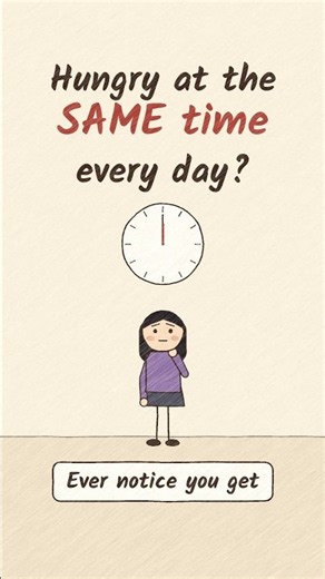 Why we ate 3 times a day #psychology #animation #brainlearning