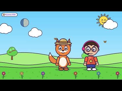 The Moon for Kids 🌙 Why Does the Moon Change Shape? | Moon Phases for Kids