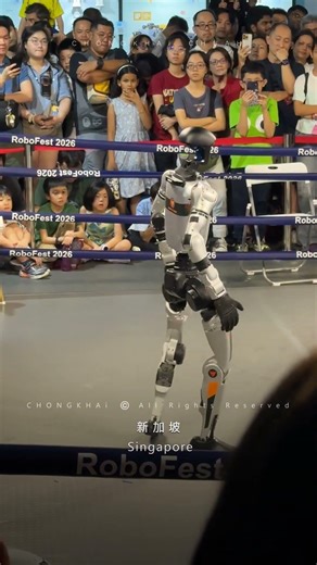 SG Science Centre Robotics Festival | Robo Boxing | 新加坡 科学馆 机器人节 | 机器人拳击