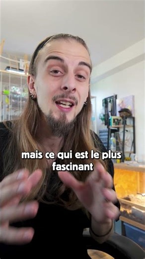 ​🐜 1 Million de Fourmis ? Le Secret de la Reine Atta !