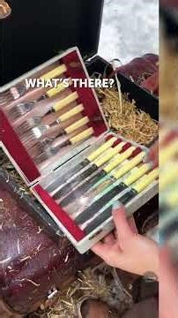 Hidden Treasure Unearthed After a Century in a Mysterious Cave!