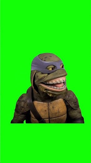 Rakai Ninja Turtle "Did You Crack?" meme - Green Screen