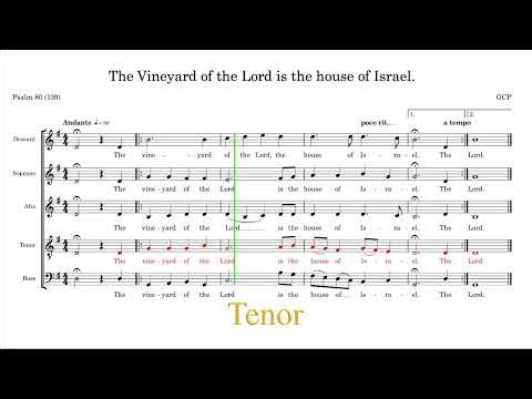 Responsorial Psalm 80 (139): The Vineyard of the Lord is the House of Israel. Tenor