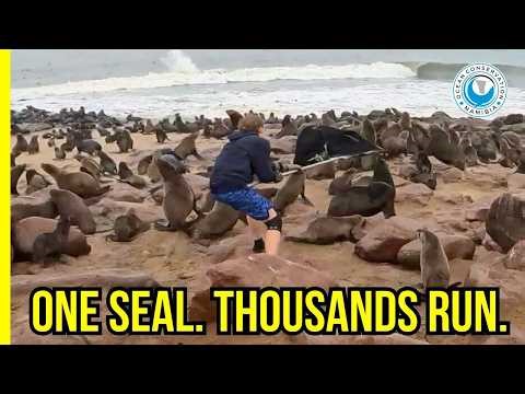 A Silent Killer Returns: Longline Fishing Gear