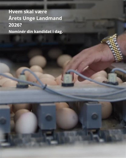 Årets Unge Landmand 2026 - søges | LandbrugsAvisen