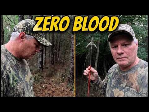 Good Blood on the Arrow… But Zero on the Ground