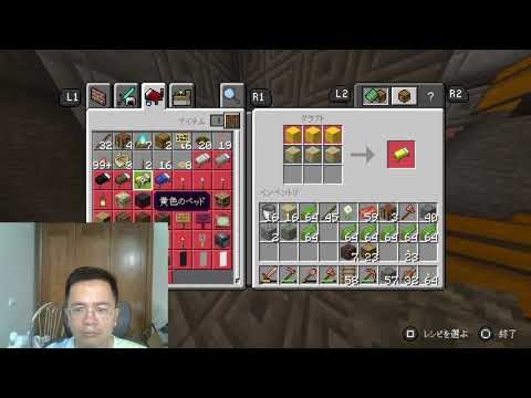 I Spawned in the PERFECT Minecraft World! (Survival Ep. 1)