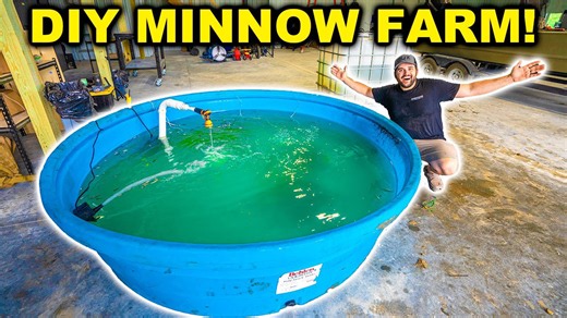 Transform your backyard: Homemade minnow farm