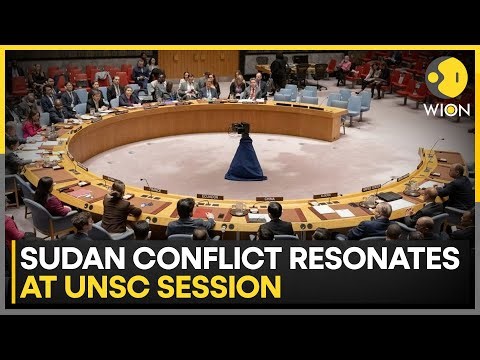 Sudan Conflict: Over 12 Million Displaced as Sudan's Civil War Rages On | WION