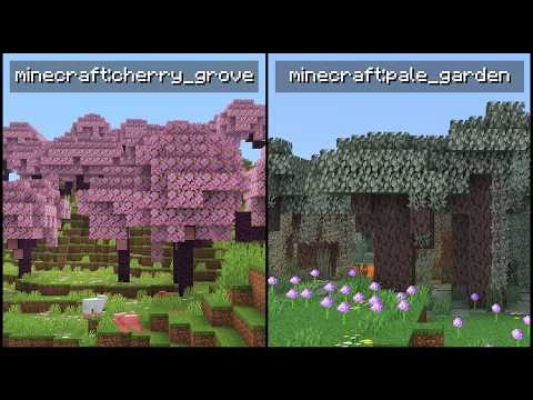 Minecraft 1.21.11 - How To Show The Current Biome (F3 Screen)