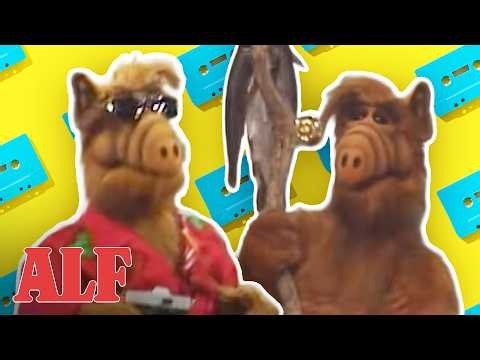 ALF Having Fun in the Summer Sun ☀️ ALF | FULL Episode Marathon