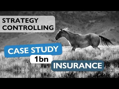 How I Built a Strategy Controlling Framework for a €1bn Insurance Group | Case Study