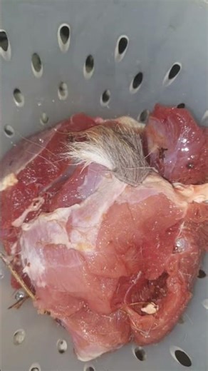 Ever had venison like this? #mdag #hunting #veteran #farmlife #2astrong #whitetail #wildlife #300sub