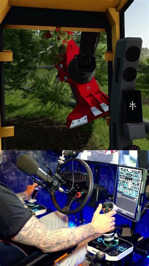 Tigercat BUNCHA vs Trees 🌲 | Pineridge Logging Map (FS25 / FDR Logging)