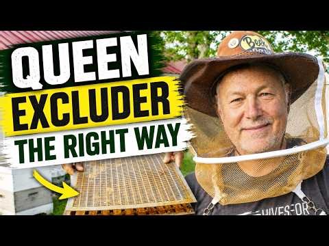 Beekeeping: Queen Excluders, Helpful or Hurtful? The Truth About Using Queen Excluders