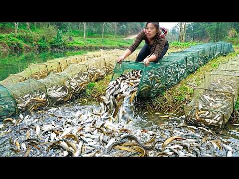 FULL Day: Single mom Catching River fish, Digging Potatoes and Making Kimchi to Sell at the Market