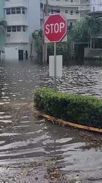 Fort Lauderdale Flooding Disaster: High-Rises Get Built, Residents Get Flooded