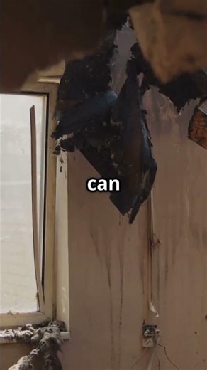 How to Estimate Fire Damage Cost in Sarasota? Expert Advice From VetCor of Sarasota Manatee