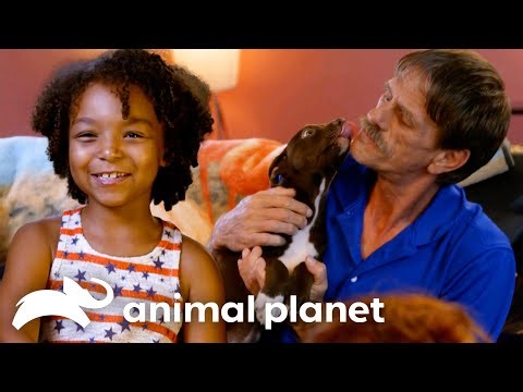 Mariah Matches Family with the Perfect Pup | Pit Bulls and Parolees | Animal Planet
