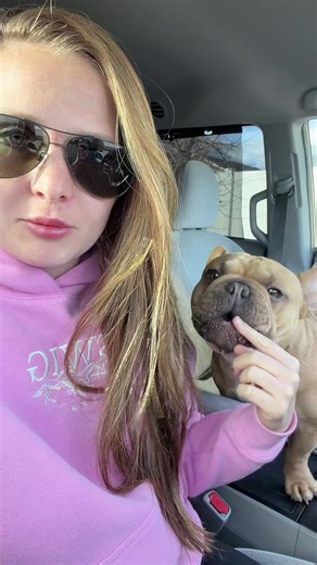 Potentially breeding our Frenchies! #dog #frenchie #frenchbulldog | Frenchie Dogs