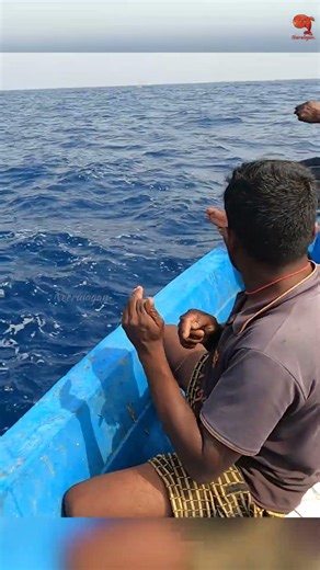 Deep Sea Fishing Videos #fishing #fishingvideo #fishingtime