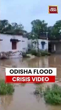 Viral Video: Odisha Flood Alert: River Water Enters Villages in Bhadrak #shorts #odisha #flashflood