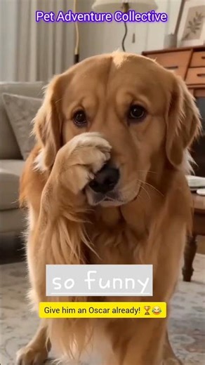​Cat Slaps Dog & The Reaction Is Epic! 🐾