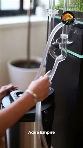 Perfect nano aquarium setup revealed #aquascape #aquascaping #satisfying