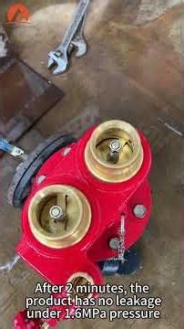 2 Way Breeching Inlet | Fire Department Connection for Fire Protection Systems #fireprotection