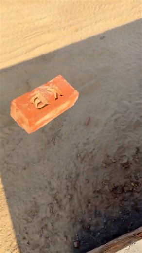 New Instagram Algorithm 🔥 | 1 Crore Journey in 365 Days 💰 | 2 Creative Mind