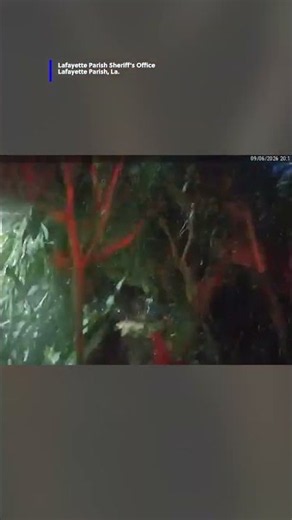 Deputy jumps into deep water to rescue nonverbal 8-year-old