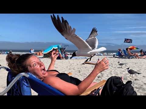 POV: Did That Really Just Happen?! | Funniest Fails