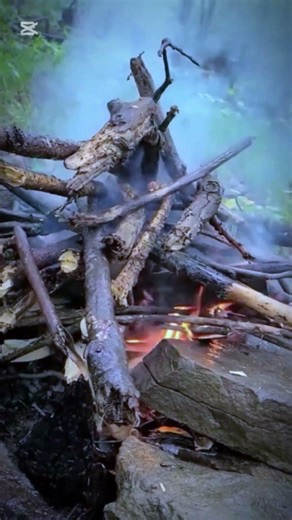 Good grass can make a fire #campping #campfire #outdoors #bushcraft #how #shorts #viral #foryou