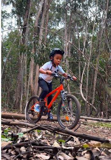 Bike enthusiasts, I need your recommendations My son has always complained that his Rockrider 20” is too small for him. He told me that if he could ride my 26”, I owed him a bigger bike. Well, he rode it, and now I have to keep my word. He handles a 24” pretty well, so we’re looking for something bigger, lighter and easier to manoeuvre and carry. I’m also looking to upgrade my own bike to something bigger and more comfortable on the knees, mainly for camping and mountain biking. Currently on the